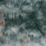 A Wealth of Uncertainty: Climate Change and Financial Well-Being in the 21st Century