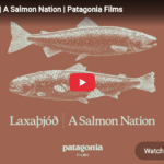 Laxaþjóð | A Salmon Nation | Patagonia Films